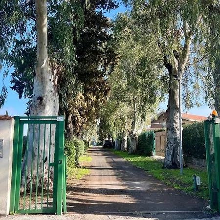 Torrenova 22-3